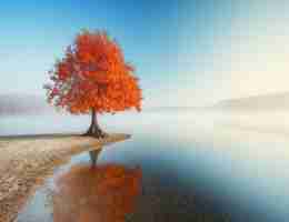 java后​端​在​公‌司​都﻿做﻿哪​些‌工‍作‌